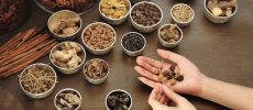 Ayurguide – Ayurveda clinic and Academy London UK